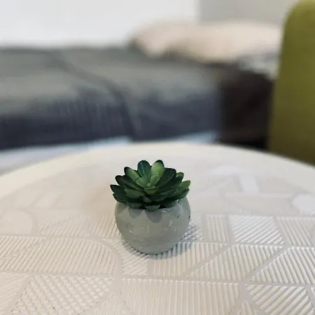 Luxodonta Lägenhet *